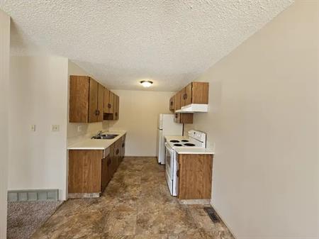 3 Bedroom, 1 Bath in Eastview! Yard care Included! | 49 Eastman Crescent, Red Deer