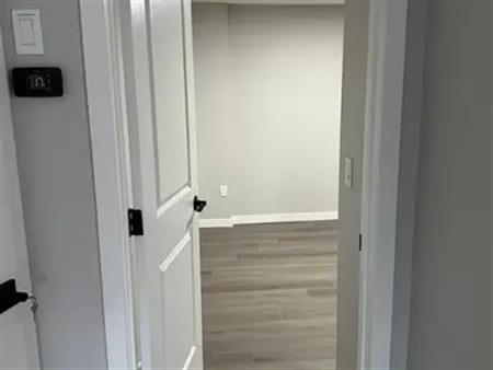 Spacious 2 bedroom walkout Basement with brand new modern amenities | 216 Calhoun Crescent Northeast, Calgary