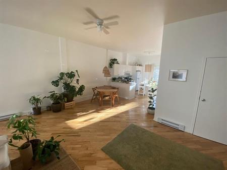Beau grand logement à louer Montréal