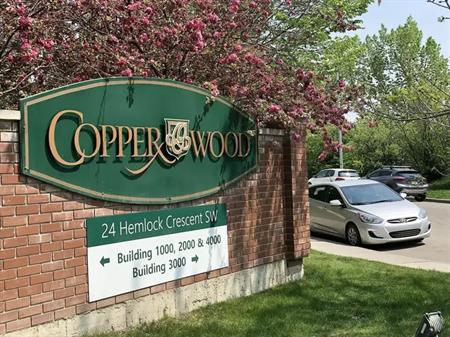 Bright & Quiet 1 Bed 1 Bath Condo with Private Entrance + Terrace -Westbrook LRT | 3101 - 24 Hemlock Crescent Southwest, Calg