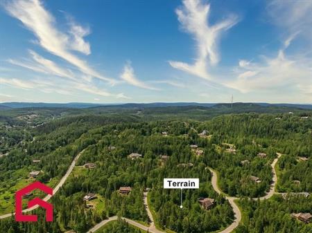 Terrain