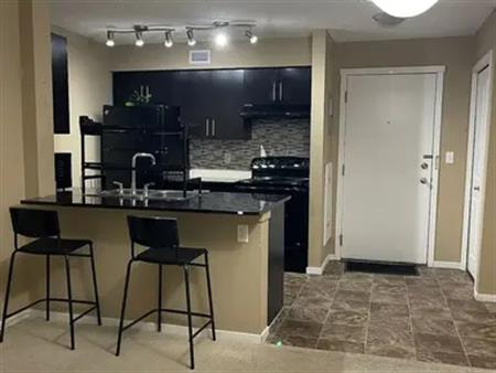 Available Well located 2 Bedrooms, Den, and 2 Washroom condo unit in Edmonton SW | 107 Watt Common SW, Edmonton