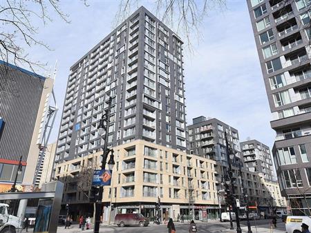 Appartement Ville-Marie (Centre-Ville, Vieux-Montréal) À Louer