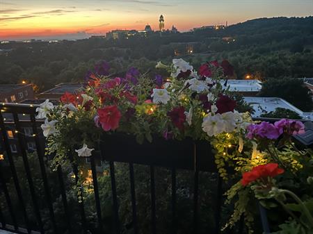 Condo Avec Vue Sur Le Mont-Royal