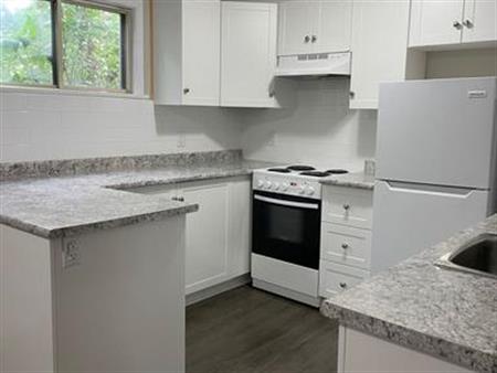 160-168 St Andrew Street - 164A | 160 168 St Andrew Street -, Ottawa