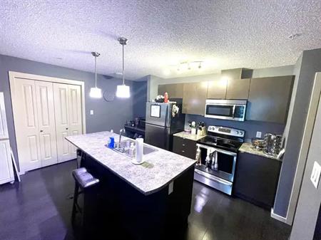 Modern 2 bedroom 2 bath condo in prestigious Windermere | 316 - 340 Windermere Rd NW, Edmonton