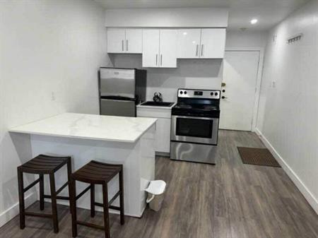 1 CH - 1 SDB - Montréal - $1,195 /mo