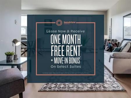 Mainwell Apartments | 23 Spring Street, Hamilton