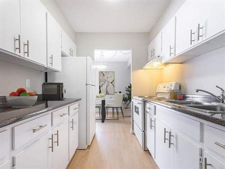 Trinity Apartments | 1170, 1145, 1175 Lauzon Road, Windsor