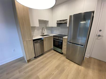 2 1/2 - Montréal (Hochelaga / Maisonneuve) - 1 395 $/mois