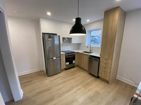 3 1/2 - Montréal (Hochelaga / Maisonneuve) - 1 595 $/mois