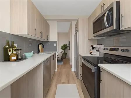 Glen Terrace Apartments | 44, 50 Glen Road, Hamilton
