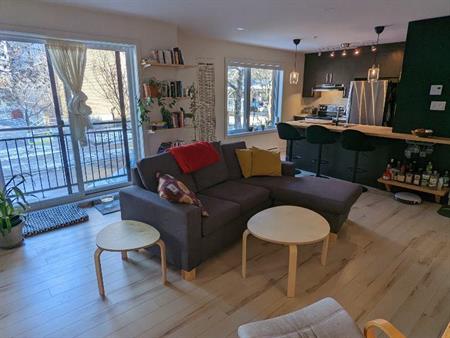 Superbe 4 1/2 meublé dans le quartier Rosemont - facture d'Hydro incluse