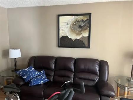 Basement in Edgemont on quiet street close to john laurie BLVD | 81 Edgehill Drive Northwest, Calgary