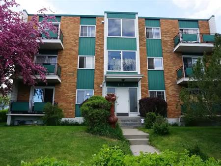Cozy, Specious One Bedroom & one bathroom apartment for rent in Bridgeland. | 810 Drury Ave NE, Calgary