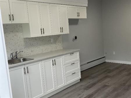 logement 3 1/2 a louer