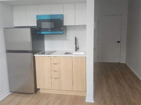 1 CH - 1 SDB - Montréal - $1,245 /mo