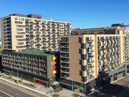3 1/2 près de l'université Laval, 1er septembre, cession de bail