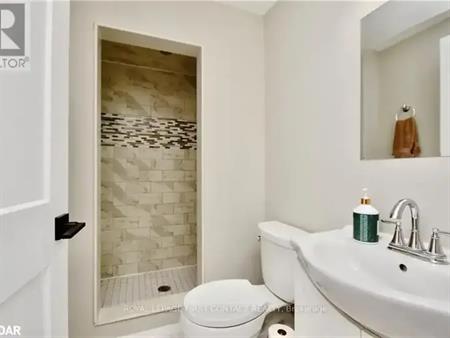 BASEMENT - 193 HANMER STREET E | BASEMENT - 193 HANMER STREET E, Barrie