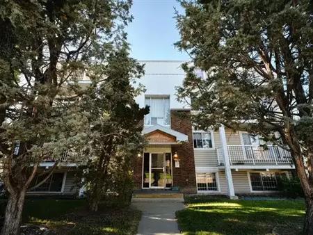 Top floor  very large and renovated 1 bedroom and 1 bath apartment | 8314 110 Avenue Northwest, Edmonton