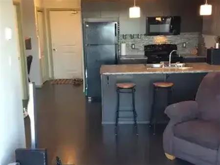 Superclean 1 Bedroom Condo SW Edmonton Windermere | 344 Windermere Road Northwest, Edmonton