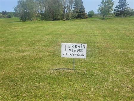 Grand terrain prêt à construire