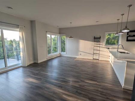 Grand Condo Lumineux