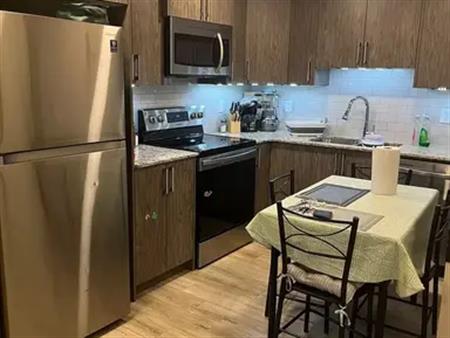 Clean 2 bedroom basement with Laundry | 157 Savanna Gardens Northeast, Calgary