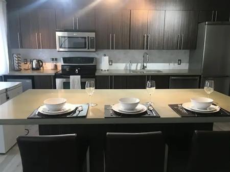 Quality, Renovated, Oversized 2bdrm condo, 17th Ave, Onsite parkg | Calgary