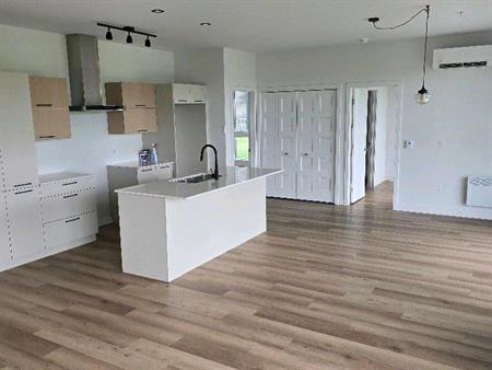 Grand logement neuf avec beaucoup d'inclusions