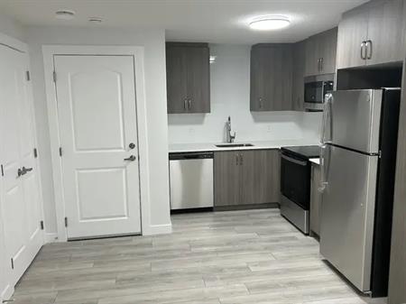 Beautiful 2 Bed Legal Basement Suite | Calgary