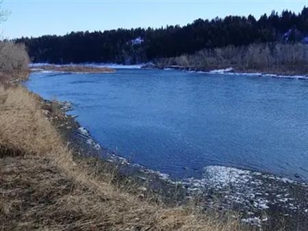 FOOTHILLS HOSPITAL AREA  CONDO, 2 - BEDROOM, NEAR RIVER | Calgary