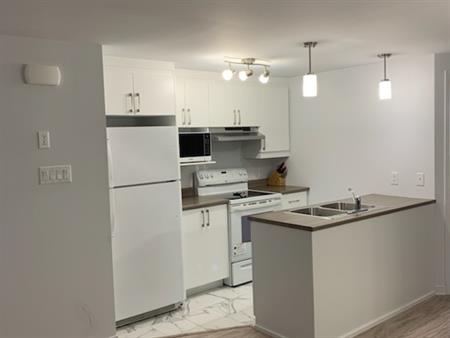 Magnifique Condo 31/2 à Louer / For Rent