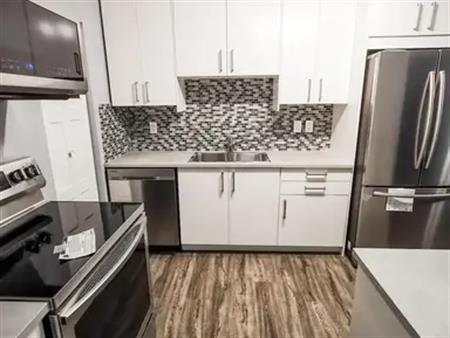 NICELY MAINTAINED  2 BEDROOMS CONDO FOR RENT IN SKYRATTLER | 2204 118 Street Northwest, Edmonton
