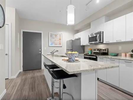 Cielo | 235 Willis Cres, Saskatoon