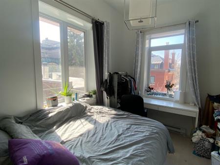 McGill Area - Superb 5 1/2 Furnished