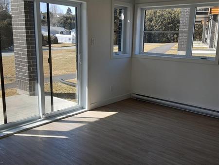 Immeuble - 299 Chemin Plante Appartement à Louer – 4 Et Demi