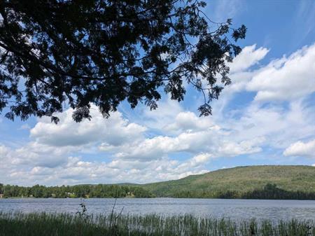 grand terrain privé au coeur de la nature avec acces au lac