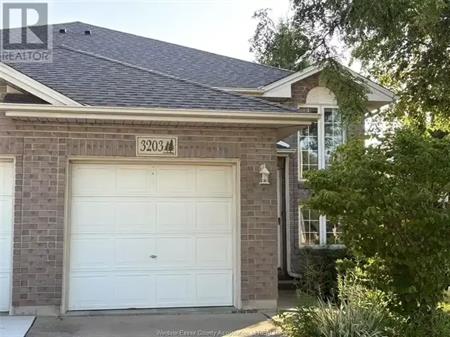 3203 DAYTONA | 3203 DAYTONA, Windsor