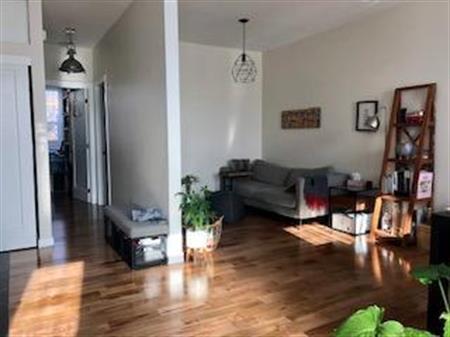Magnifique énorme 4 1/2 neuf Pointe St Charles disponible 1 et septembre