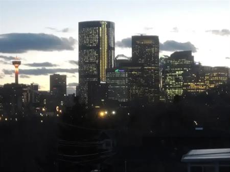 Cozy, Specious One Bedroom & one bathroom apartment for rent in Bridgeland. | 810 Drury Ave NE, Calgary