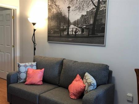 Bel Appartement Ensoleillé - Métro Viau