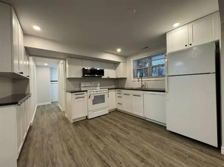 Lower- 74 Peel Street | 74 Peel Street, Barrie