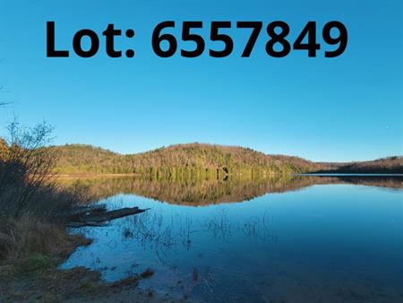 Terre-Terrain Grenville sur la Rouge 66 acre