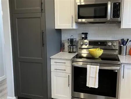 New! | 3 Bed 1 Bath Great Location | Virtual Tour Available | Calgary