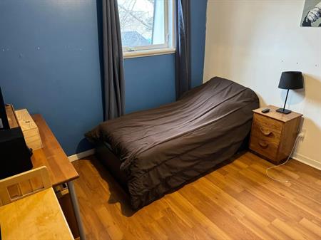 Chambre à Louer