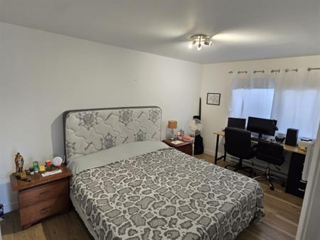 1 Chambre 1 Salle De Bain - Appartement