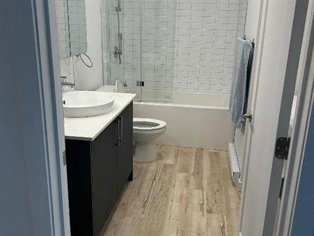 Appartement à louer grand 3 1/2