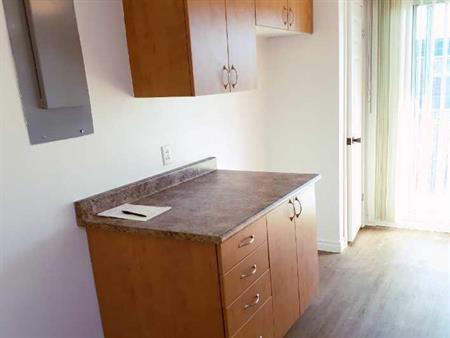 Nouveau-Rosemont Grand 4 1/2 rénové haut triplex