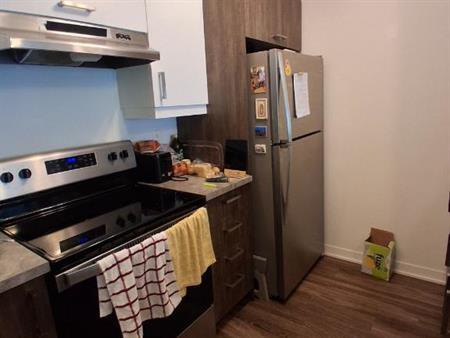 Condo 3 1/2, chien accepté.